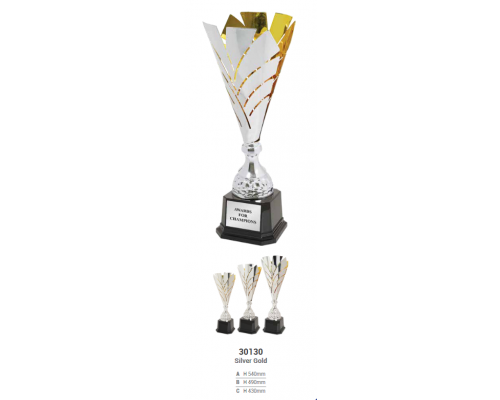 Metal Cup