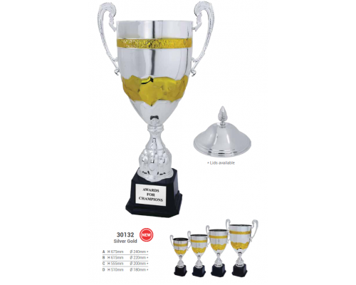 Challenge Cup/Trophy