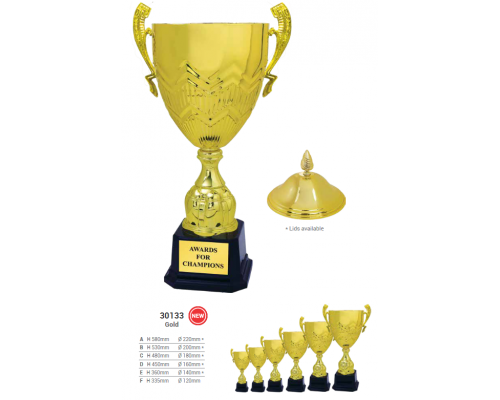 Challenge Cup/Trophy