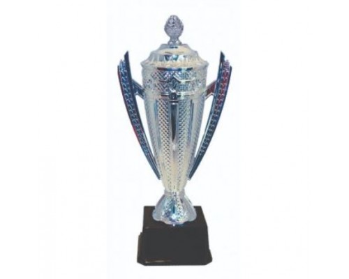 Challenge Cup/Trophy